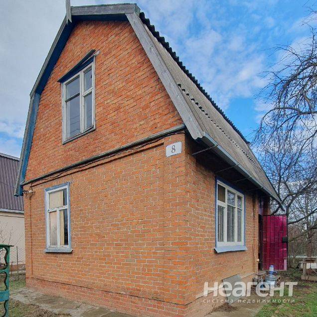 Фотография №3