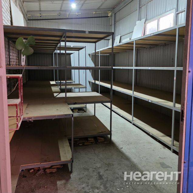 Фотография №2