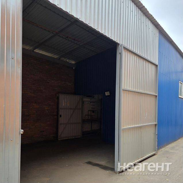 Фотография №3