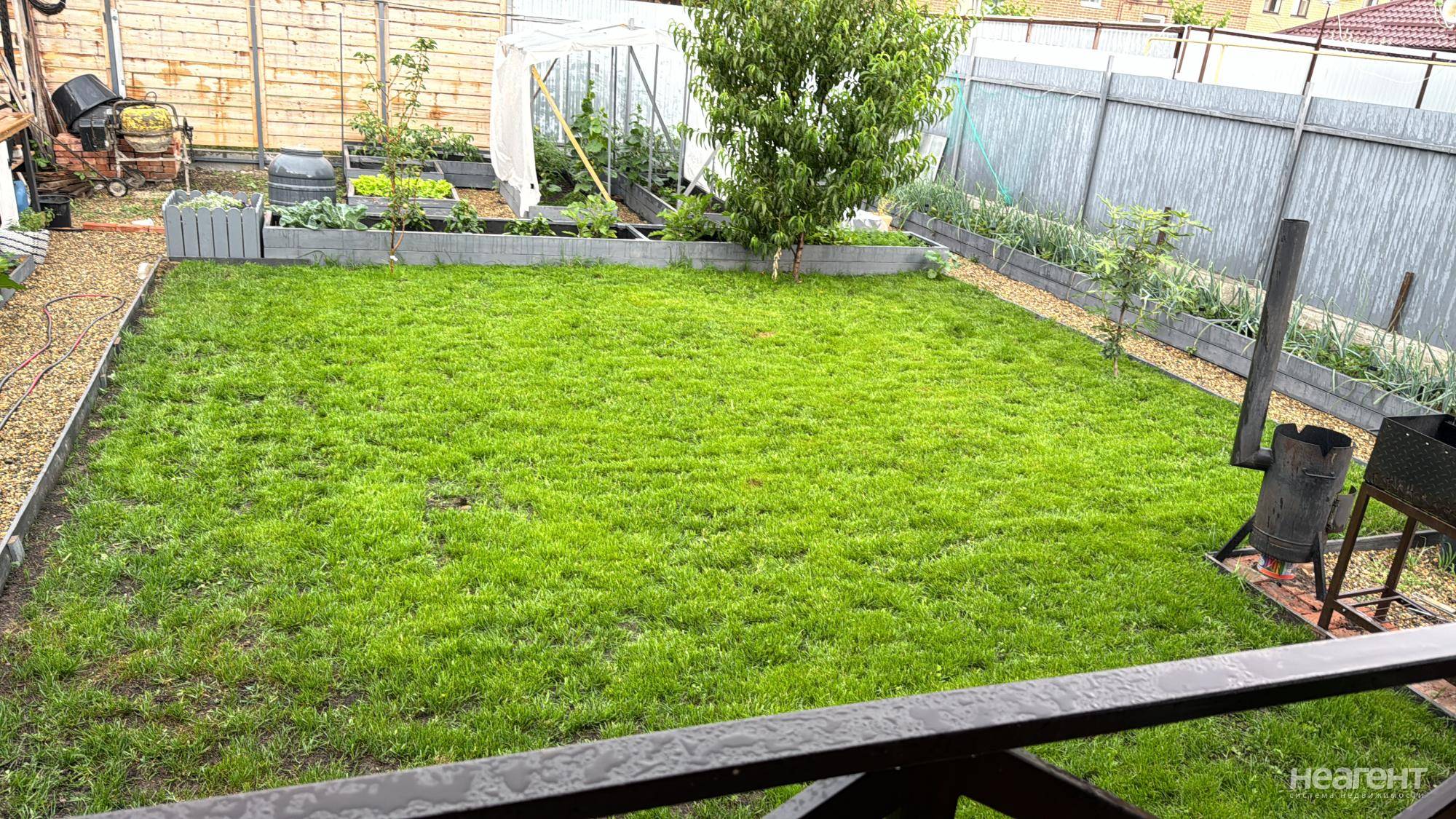 Фотография №2