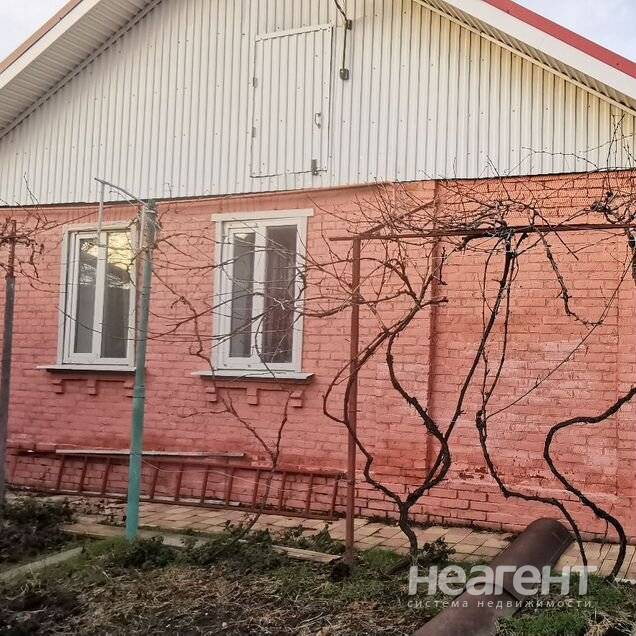 Фотография №2