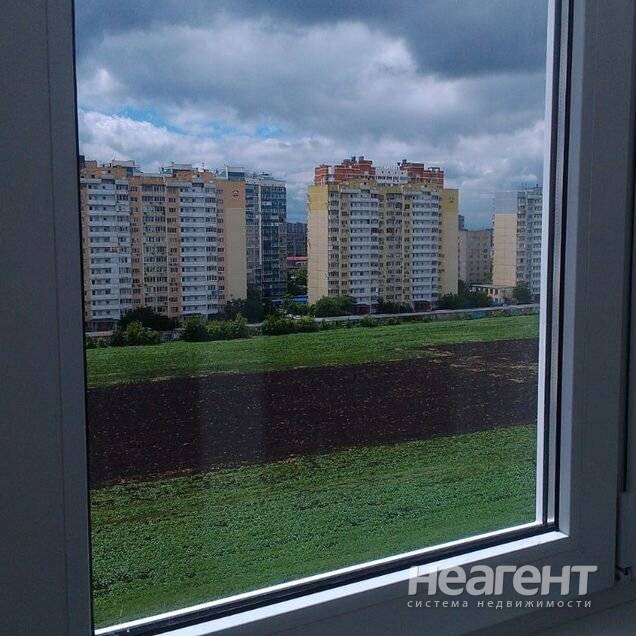 Фотография №3