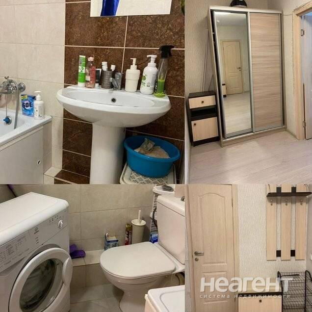 Фотография №3