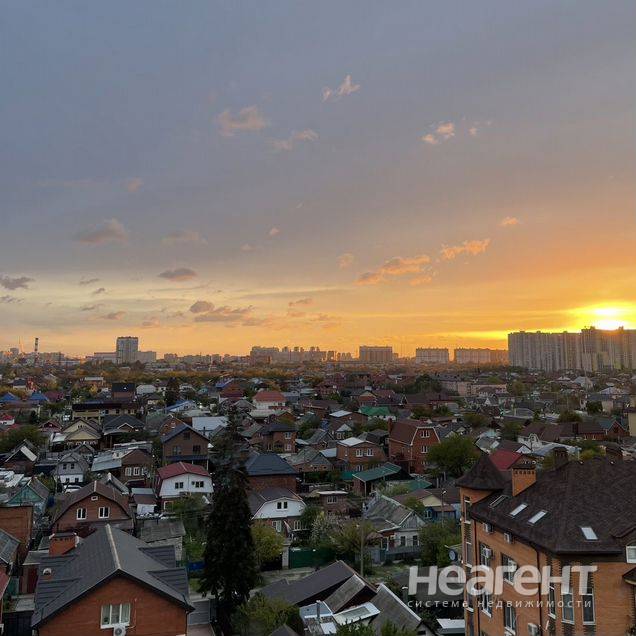 Фотография №2