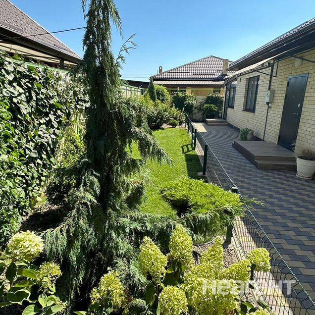 Фотография №2