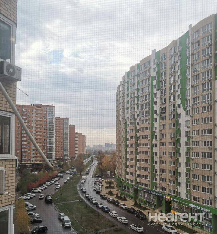 Фотография №2