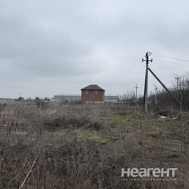 Фотография №2