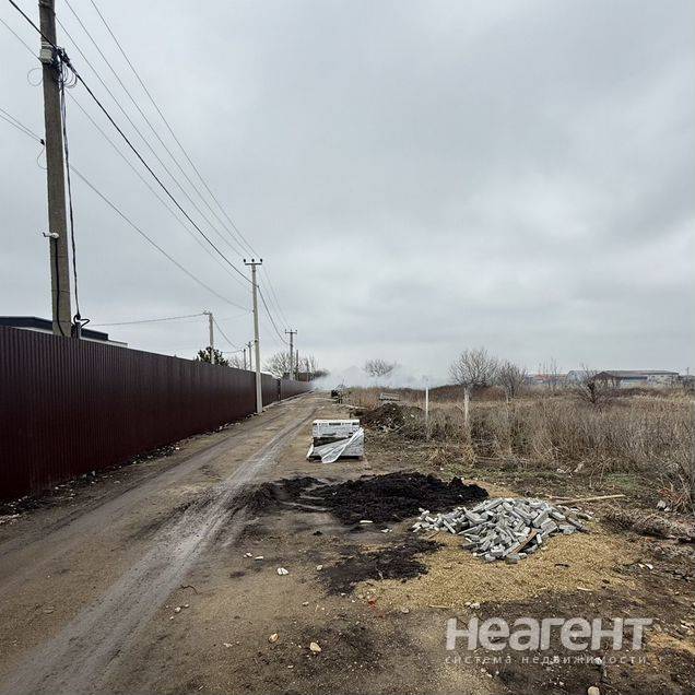 Фотография №3