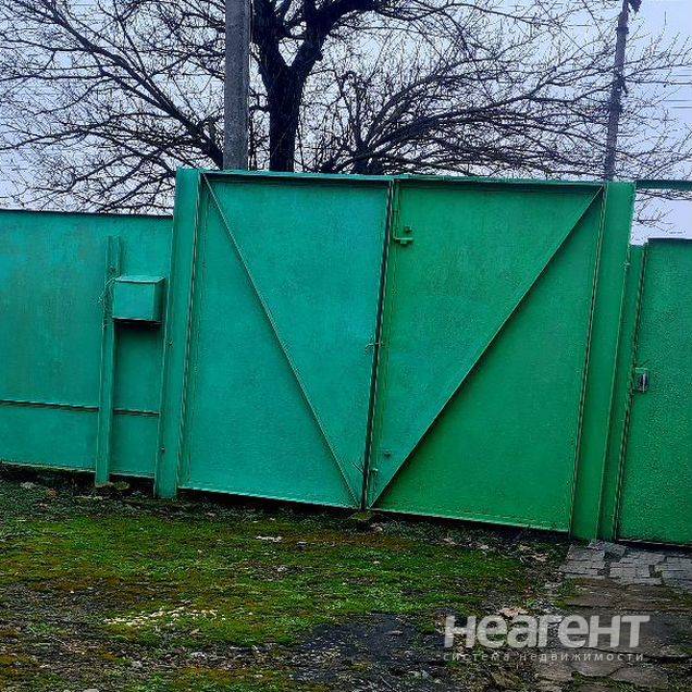 Фотография №3