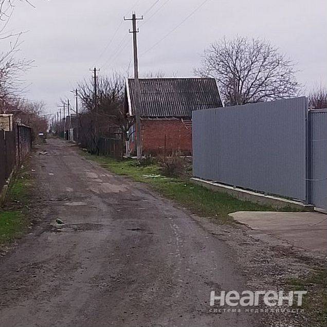 Фотография №2