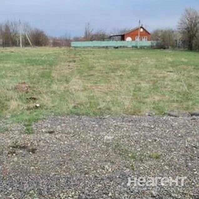 Фотография №2