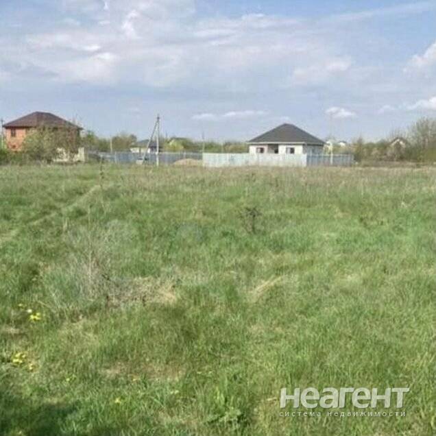 Фотография №3