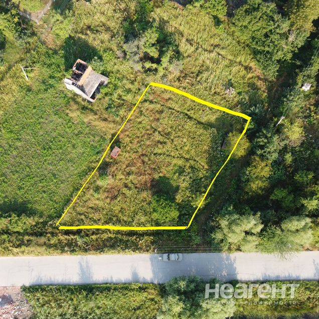 Фотография №2