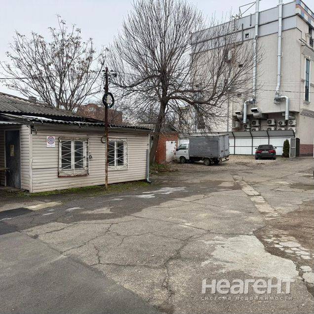 Фотография №3