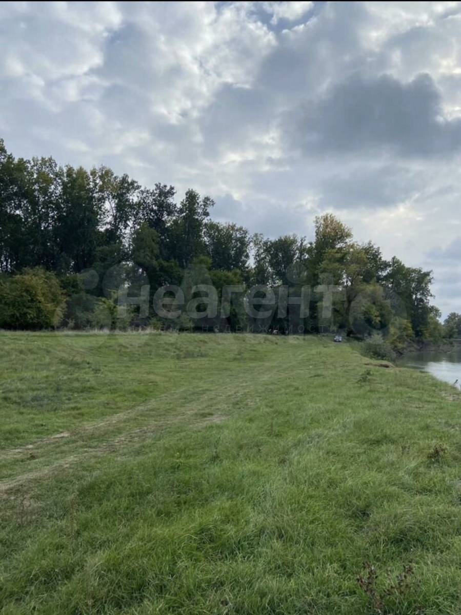 Фотография №9