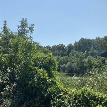 Продается Дом, 43 м²