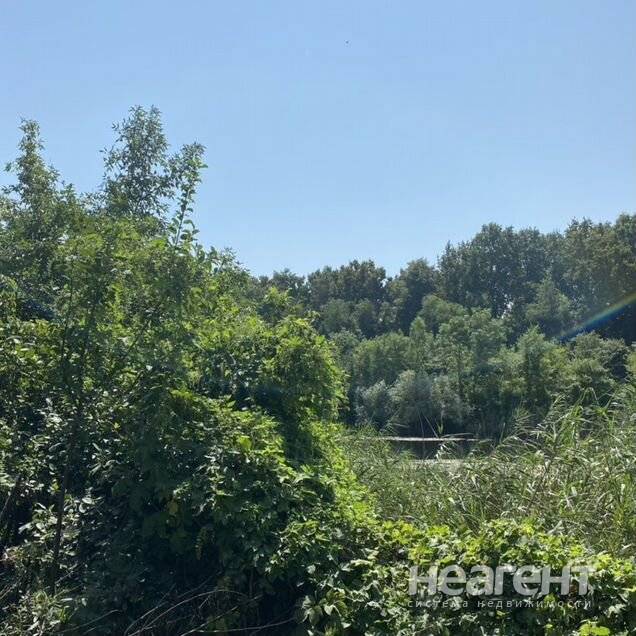 Фотография №2