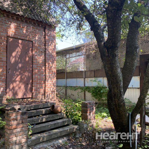 Фотография №3