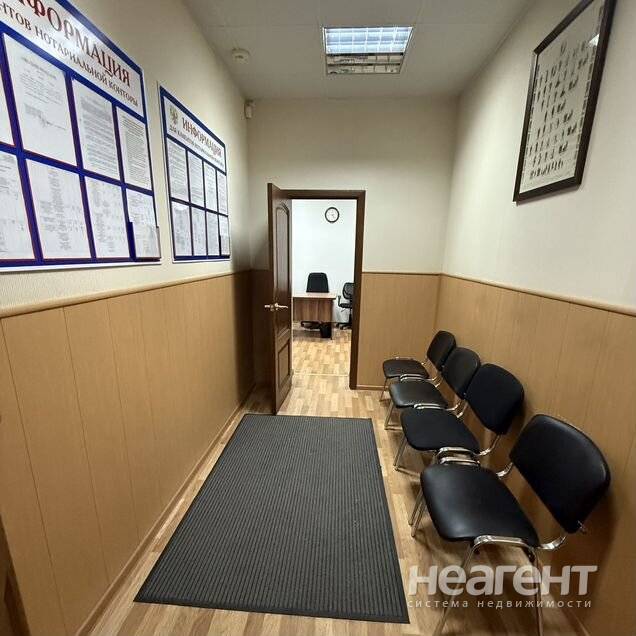 Фотография №3