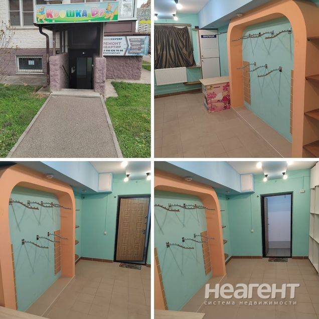 Фотография №2