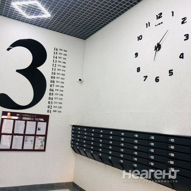 Фотография №3