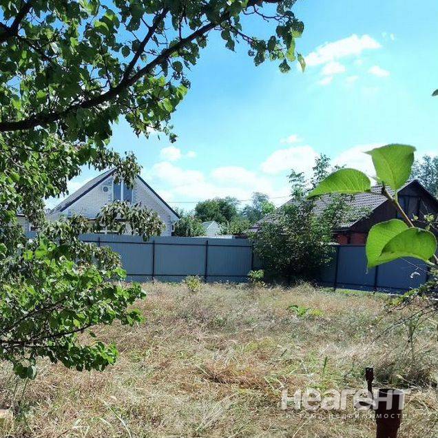 Фотография №2