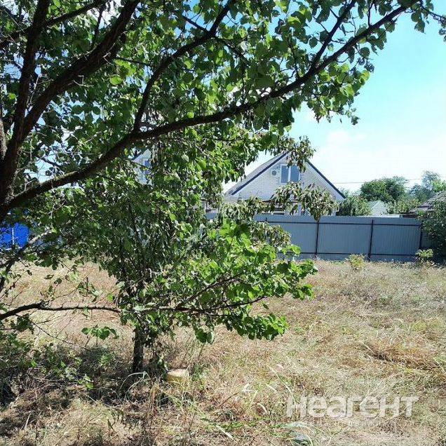 Фотография №3