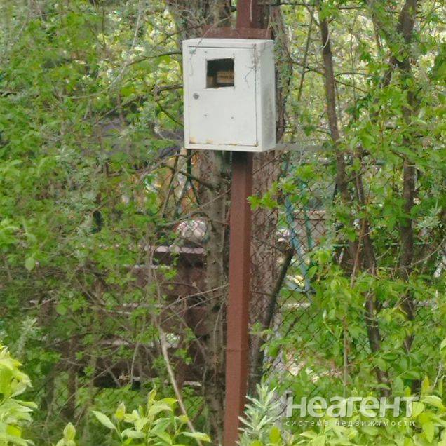 Фотография №2