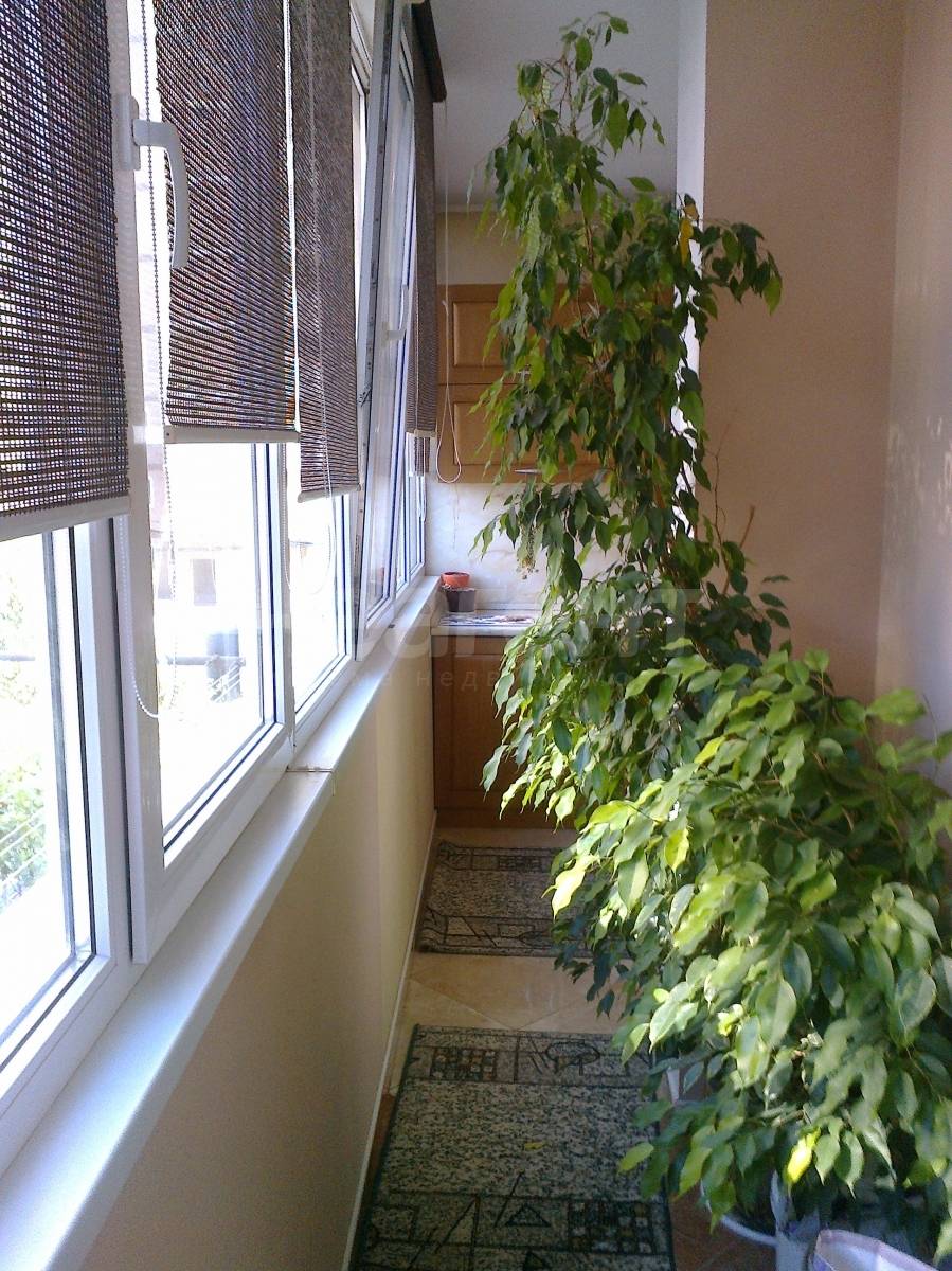 Фотография №4