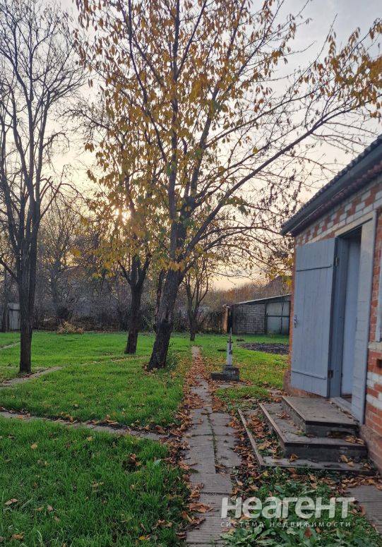 Фотография №2