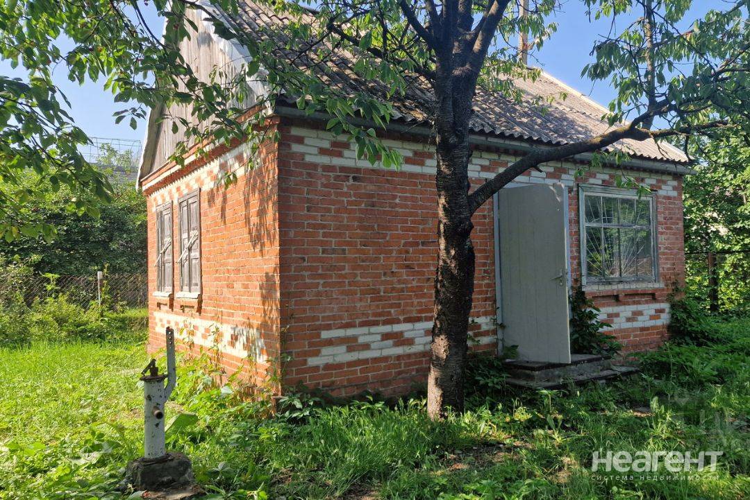 Фотография №3