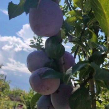 Продается Дом, 80 м²