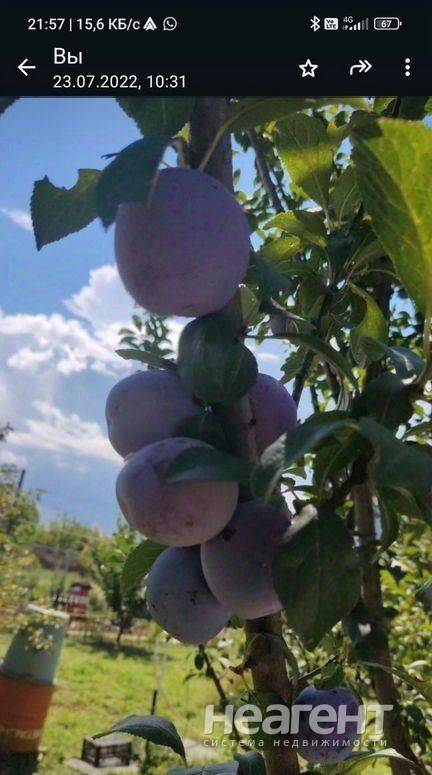 Продаю дом, ст. Елизаветинская (ул. Грушевая)