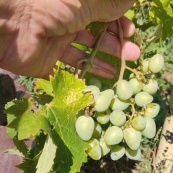 Продается Дом, 80 м²