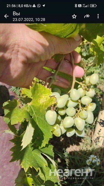 Фотография №3