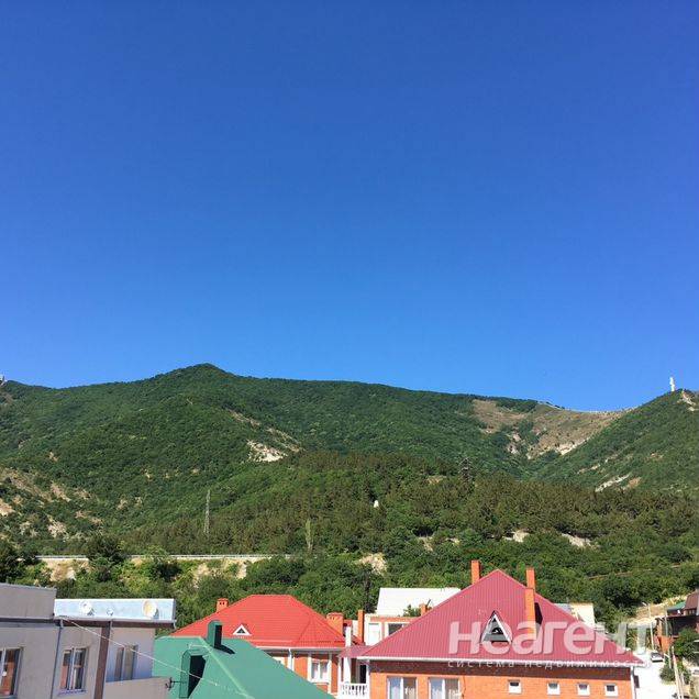 Фотография №2