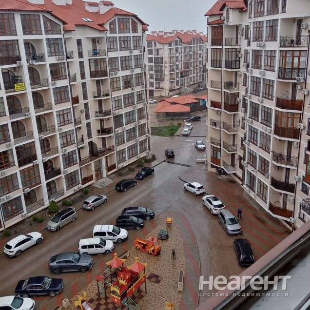 Фотография №2