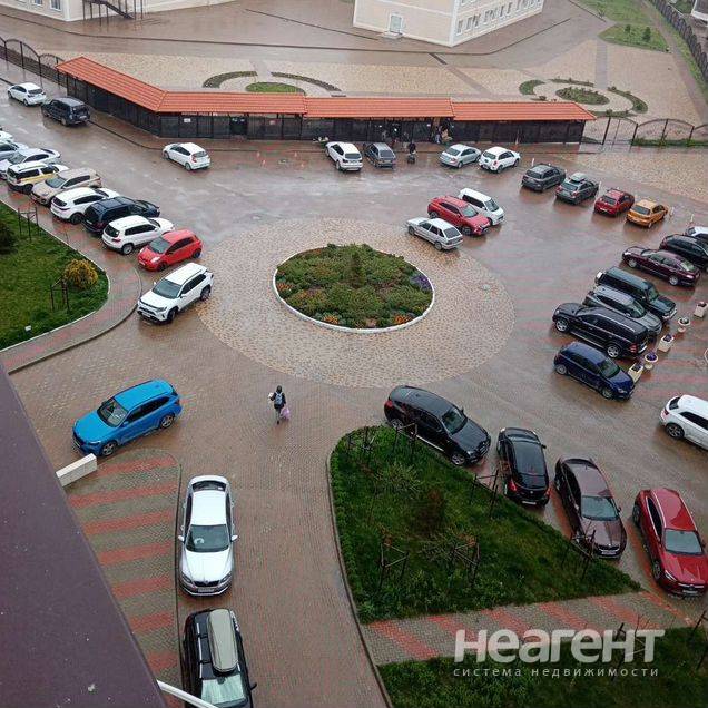 Фотография №3