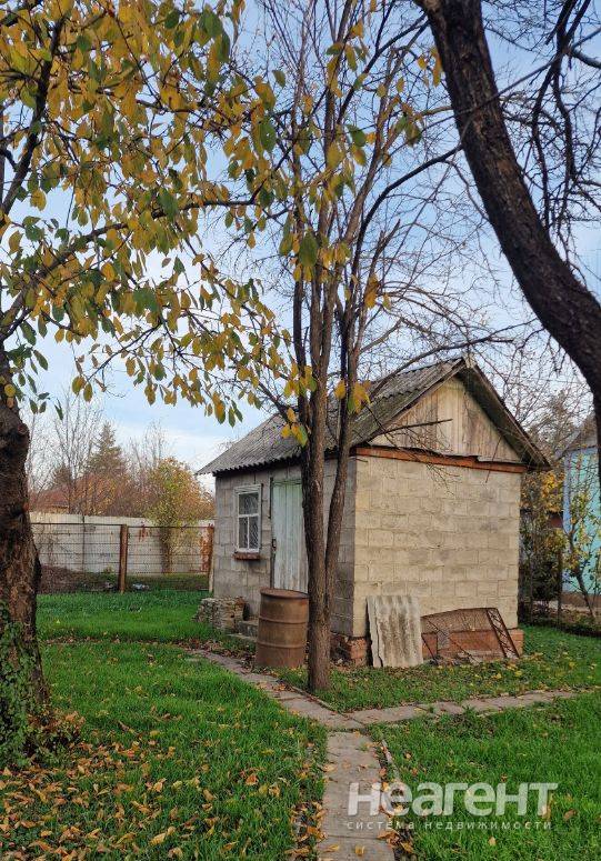 Фотография №2