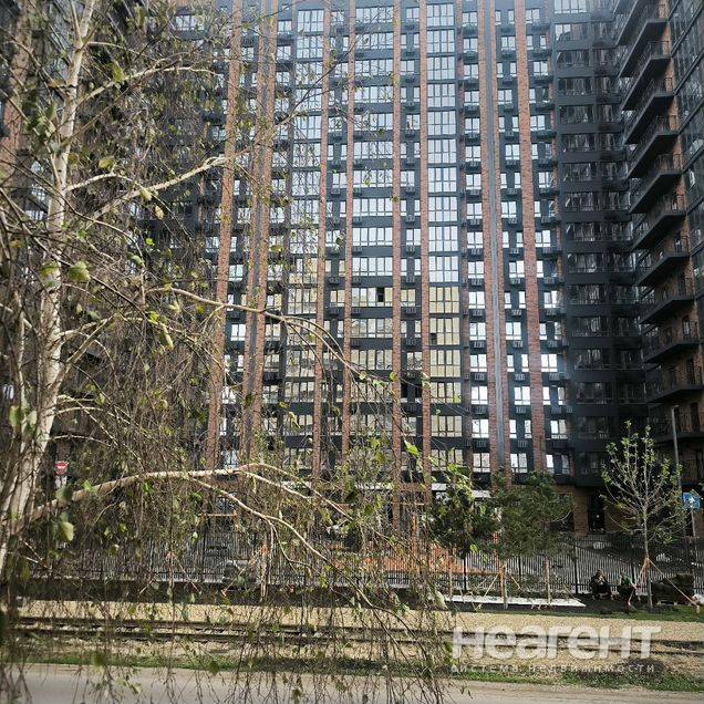 Фотография №2