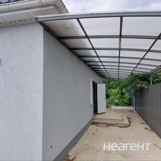 Фотография №3