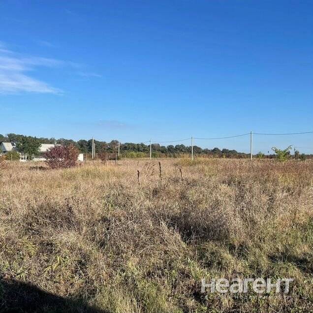 Фотография №2