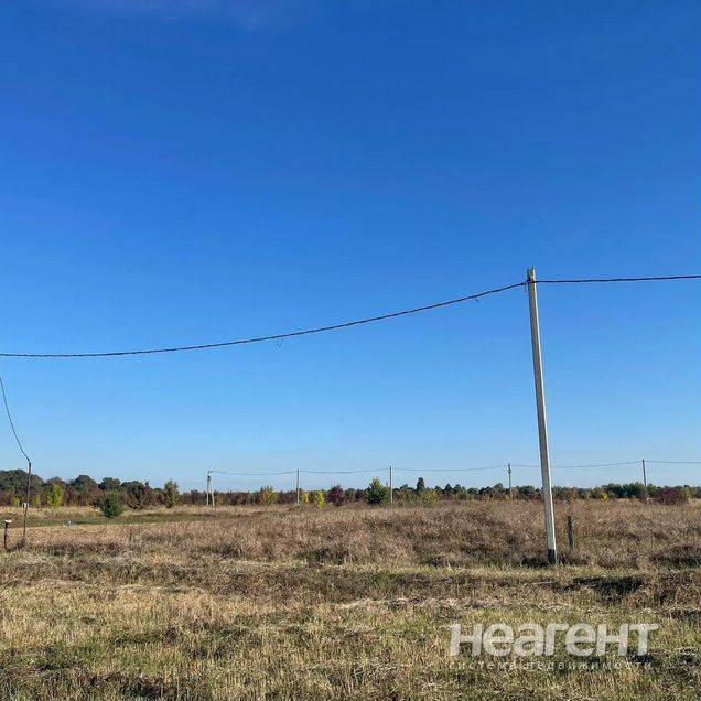 Фотография №3