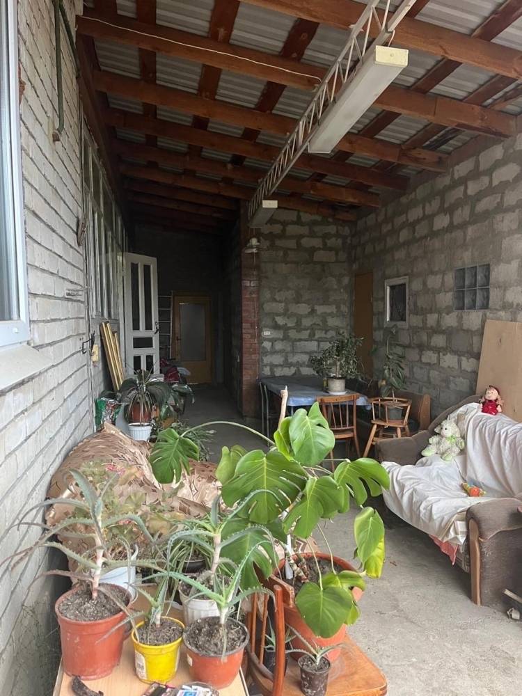 Фотография №5