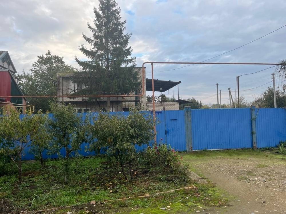 Фотография №8