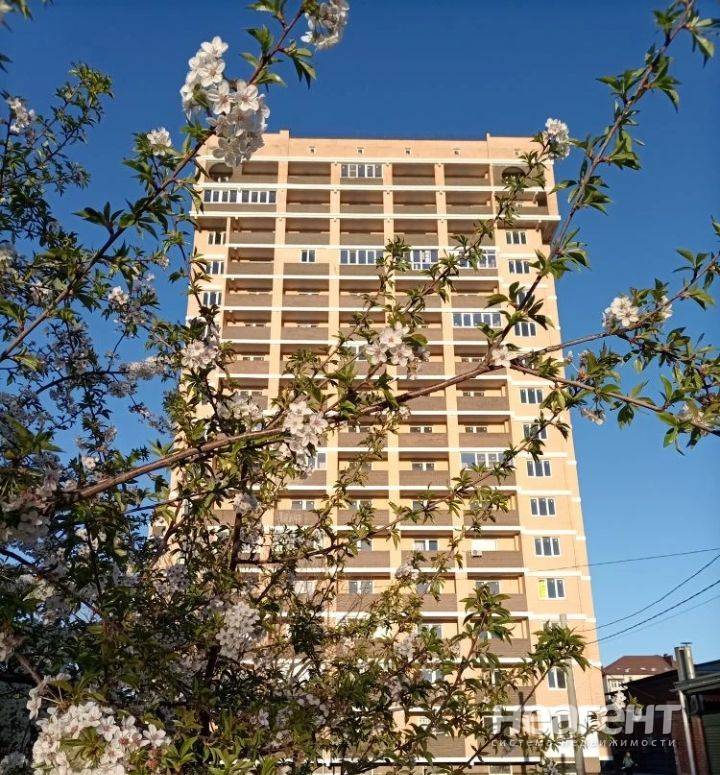 Фотография №3