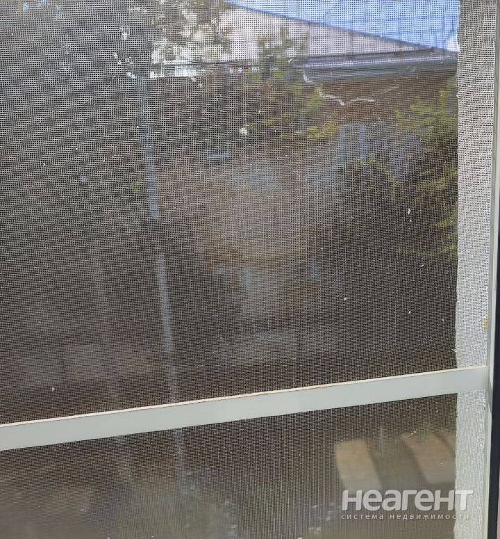 Фотография №3