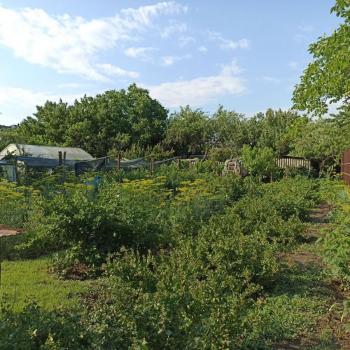 Продается Дом, 50 м²