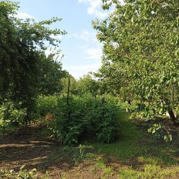 Продается Дом, 50 м²