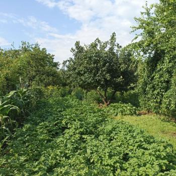 Продается Дом, 50 м²